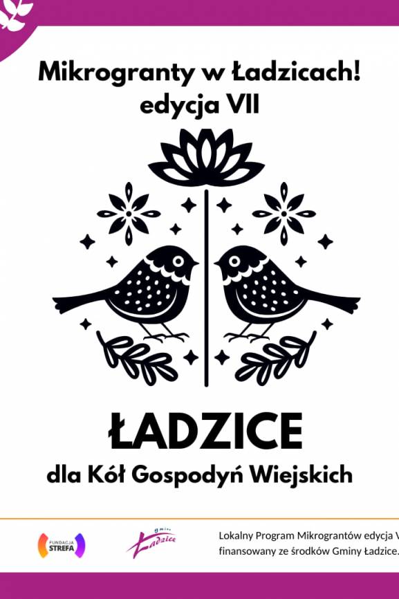 Mikrogranty w Gminie Ładzice (edycja VII) - można już zgłaszać projekty!