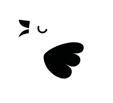 FIO 2020 Lokalny Program Mikrograntów