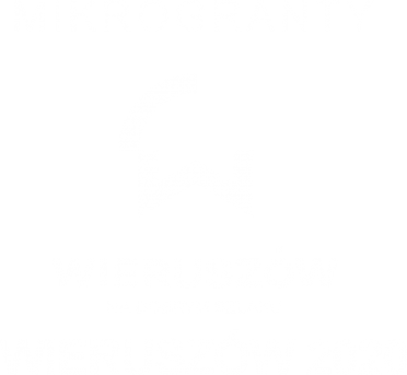 Mikrogranty Wieruszów 2020