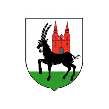 Mikrogranty Wieruszów 2019