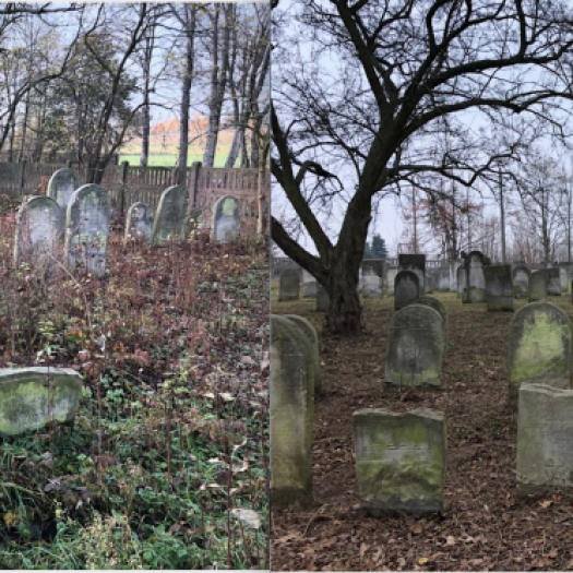 prace porządkowe na terenie cmentarza żydowskiego w Warcie i odnowienie bramy wejściowej